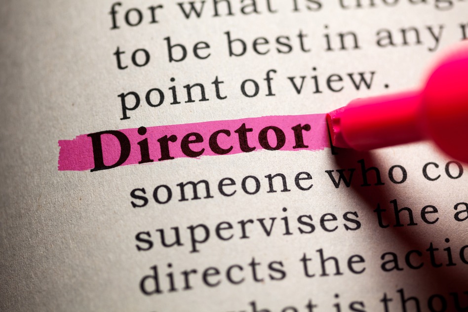 director, shareholder