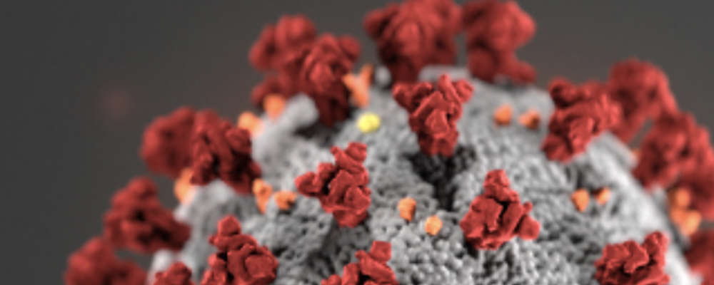Coronavirus-CDC-